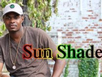 Sun Shade