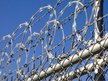 RazorWire Camp