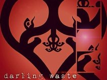 DARLING WASTE
