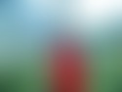 41850537 243945359653101 5178386178377777152 n