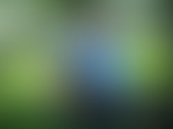 2007 2008 2009 329 1272160075