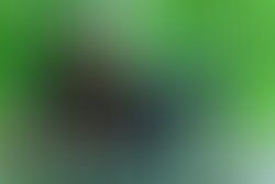 37554875 633707473664178 3396660016864821248 n