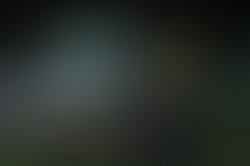 28061720 149212092429216 882755175404008234 o