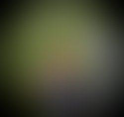 30429816 1573834202739128 1754405914 n