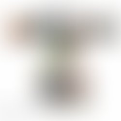 Received 220621952059541