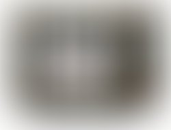 Zombomeme 05042024101631