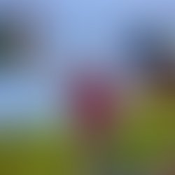 Img 20180616 020134 763