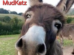 MudKatz