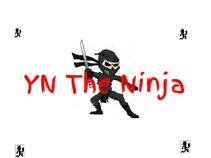 Yn The Ninja