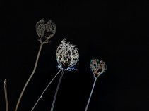 Donald Vernon Miller II