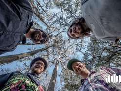 Image for Dopapod
