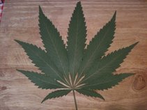 The Fort Wenny Soldiers