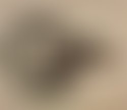 Artist 6159886 1572775508