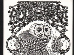 Image for The Gypsy Moonlight Band