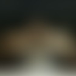 Artist 6166246 1539398838