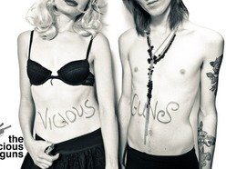 Image for The VICIOUS GUNS