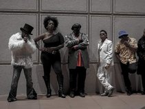 MWE musicians with experience