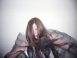 Lady Haidee