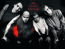 Scarlet Hatchings