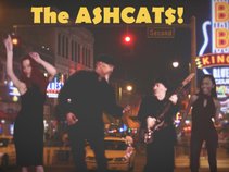 The AshCats