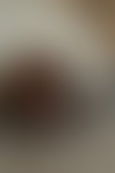 Freecompress parisraysession 33