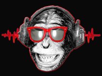 Discosapien