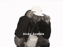 BICHO HOSTYLE