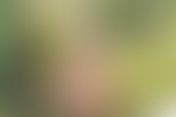 43383184 320124135238685 7885242475768446976 n