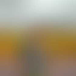 Artist 6200079 1560846274