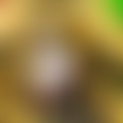 18672854 727813747391083 516572208260177783 o