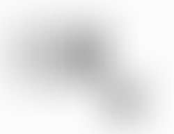 34118434 202934530518486 4767282444359434240 n