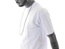 D Steele