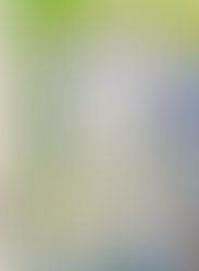 96bf452acf54c01a21c12b39f833fdbe99bd5fbb