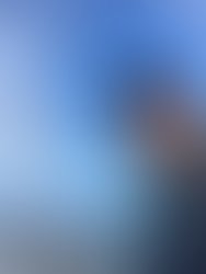 Artist 622145 1762493235