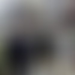 35426816 246172096138251 1962699453253025792 n