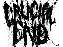 Crucial End