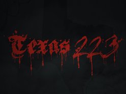 Image for TEXAS 223