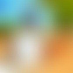 B7dd68a22ab95df86da05e027e1d14c7dcc46c10