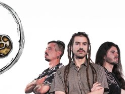Image for OliveTreeDance