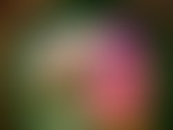 Resized 20191109 083704 2