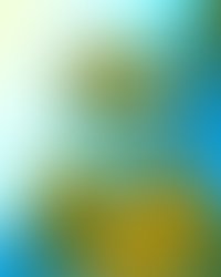 Artist 6240158 1550385287