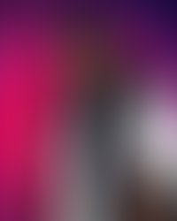 Artist 6240907 1733999978