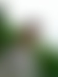 36002720 666992970316054 2461160477019865088 n