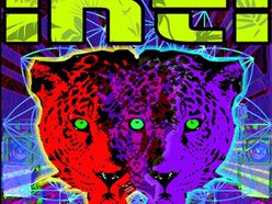 Image for Inti
