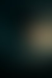 File 000000008ce861fb986db3caa93a88b5