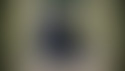 Img 1645