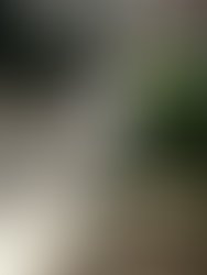 Fb img 1532536589975