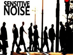 Image for Sensitive Noise
