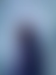 Img 8036