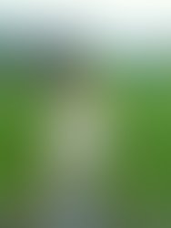 Pizap com15347572290781